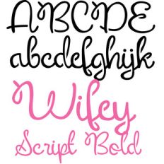 pn wifey script stencil