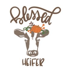 blessed heifer