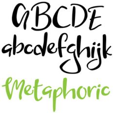 zp metamorphic