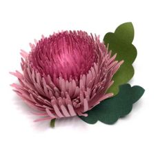 chrysanthemum 3d