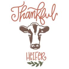 thankful heifer