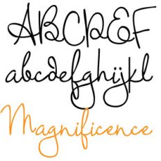 pn magnificence