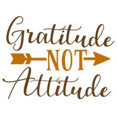 gratitude not attitude