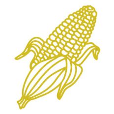 corn on the cob