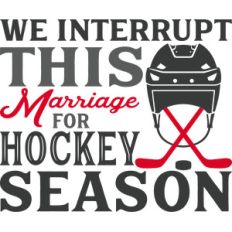 we interrupt for hockey