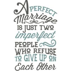 a perfect marriage