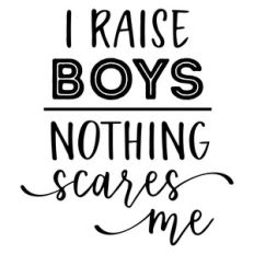 i raise boys - nothing scares me phrase