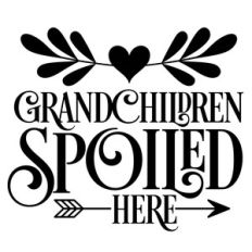 grandchildren spoiled here
