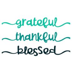 spirit animals - grateful, thankful, blessed