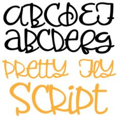 pn pretty fly script