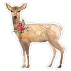 deer