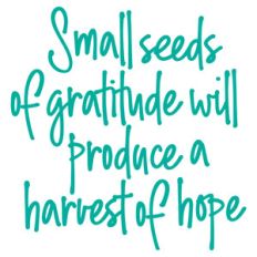 small seeds of gratitude will produce a harvest of hope