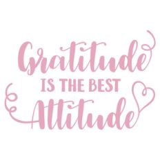gratitude is the best attitude