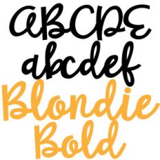 pn blondie bold