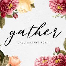 gather script