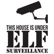 elf surveillance