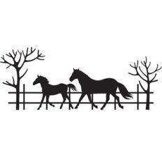 horses on the farm