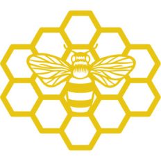 bee honeycomb