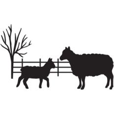 sheep farm