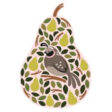 partridge in a pear tree