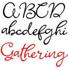 zp gathering