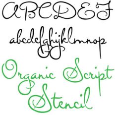 zp organic script stencil