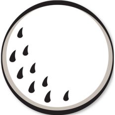 golf ball