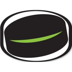 hockey puck