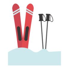 skis and ski poles