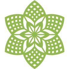1pc doily
