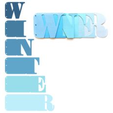 winter mini album