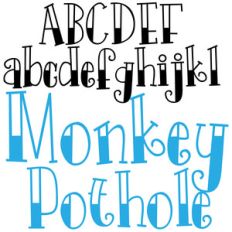 zp monkey pothole