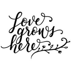 love grows here