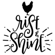 rise and shine