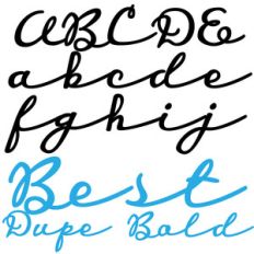 pn best dupe bold