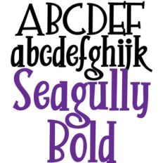 pn seagully bold
