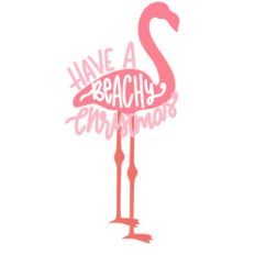 have a beach christmas