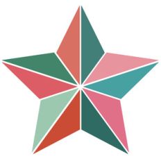 christmas star