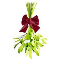 3d mistletoe