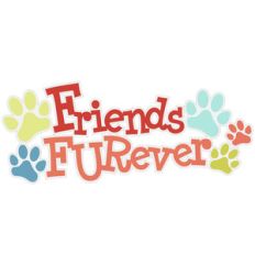 friends furever title