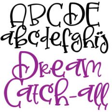 pn dream catch-all