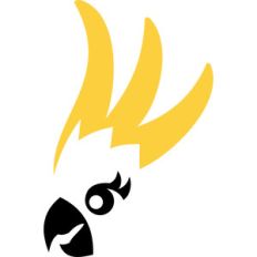 cockatoo face