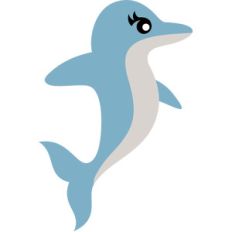 cute dolphin
