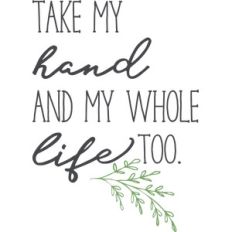 take my hand and my whole life too