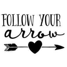 follow your arrow