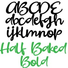 zp half baked bold