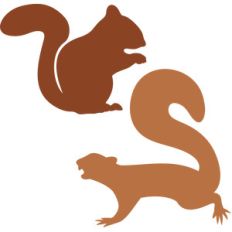 squirrel silhouette