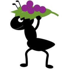 ant