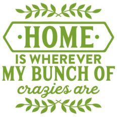 home is wherever my bunch of crazies are