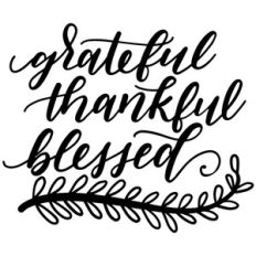 grateful, thankful, blessed